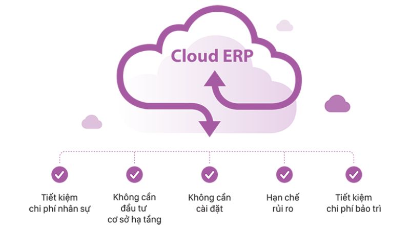 Cloud ERP